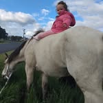 Sam Hutch - @sammhutch1 - Instagram