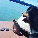 samara_h - @sam.hutchinson_ - Instagram