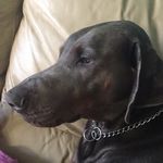 Samuel - @samuel.iannuzzi - Instagram
