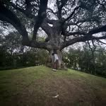 Sam Ibarra - @sam_ibarra77 - Instagram