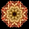 Sam Iles - @sam.iles1 - TikTok