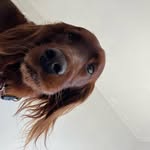 @samisetter - Instagram
