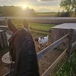 Sam Isham - @mrs_isham36 - Instagram