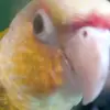 samives - @sam1236285 - TikTok