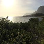 Sam Ivey - @sivey4 - Instagram