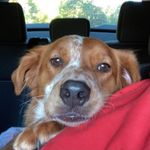 Sam Ivey - @samivey1 - Instagram