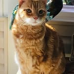 Sam Jacobsen - @sammycat0407 - Instagram