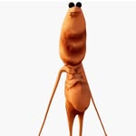 Sam Janes - @lankylegz_ - Instagram