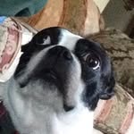 Sam Janik - @sam_is_boss_2965 - Instagram