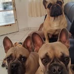 Sam ♡ Kiss ♡ Janis - @bullborges - Instagram