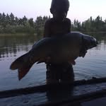 Sam Jansen - @samjansen34 - Instagram
