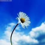 samar_jarkas - @samarjarkas35 - Instagram