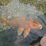 samjaspers - @samjasper4596 - Instagram