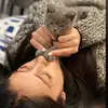 yasamin javanmard - @yasaminjavanmard - TikTok
