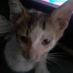 Sam Javier - Facebook