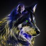 sam jeffries - @samjeffries50 - Instagram
