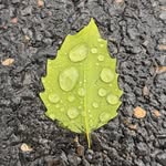 Sam - @sam__joan - Instagram