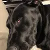 Sam Johnston - @sam_johnston2021 - TikTok