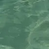 Sam Johnston - @samjohnstonnn - TikTok