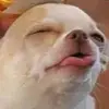 Sam Joiner - @sxmj.13 - TikTok