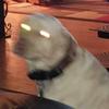 Sam - @sam.jon.m - TikTok