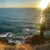 sam.joy.t - @sam.joy.t - TikTok