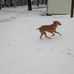 Sam Joyner - Facebook
