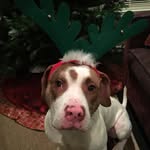 SamJoyner - @samjoyner1955 - Instagram