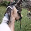 Sam Judy - @sam.judy3 - TikTok