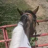 Sam.Judy - @sam.judy2 - TikTok