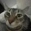 sam - @samjuergens - TikTok