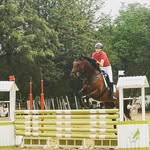Sam Juncker - @thebaldequestrian - Instagram