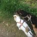 Sam Juniper - Facebook