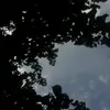 a - @samjunta5 - TikTok