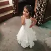 kaler - @samkaler12345 - TikTok