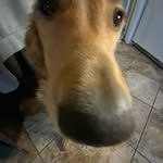 sam - @samkalert - Instagram