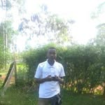 samkamash - @samkamash1 - Instagram