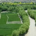 Iqbal Samkanai - @samkanaiiqbal - Instagram