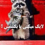 Noor Afghan - @samkanaiomid - Instagram