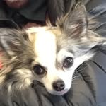 samkanai - @samkanai1220 - Instagram