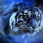 Sam Karim - @samkarim8213 - Instagram