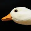Sam Kastendieck - @sam.kastendieck - TikTok