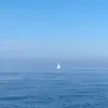 katersam - @katersam1 - TikTok