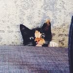 Sam Katerberg - @samkaterberg - Instagram