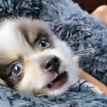 sam kauffman - @samkauffman_12 - Instagram