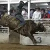 samuelkauffman52 - @samuelkauffman52 - TikTok