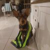 Sam Kean - @sam.kean05 - TikTok