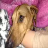 sam_kearney - @sam_kearney - TikTok
