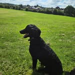 Sam Kearns - @samkearns65 - Instagram