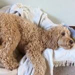 Sam K - @sam.keeble1 - Instagram